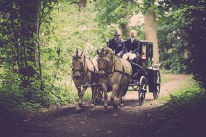 horse drawn funeral cart