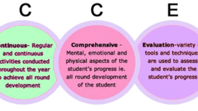 What Is CCE: Importance Of Continuous And Comprehensive Evaluation (CCE