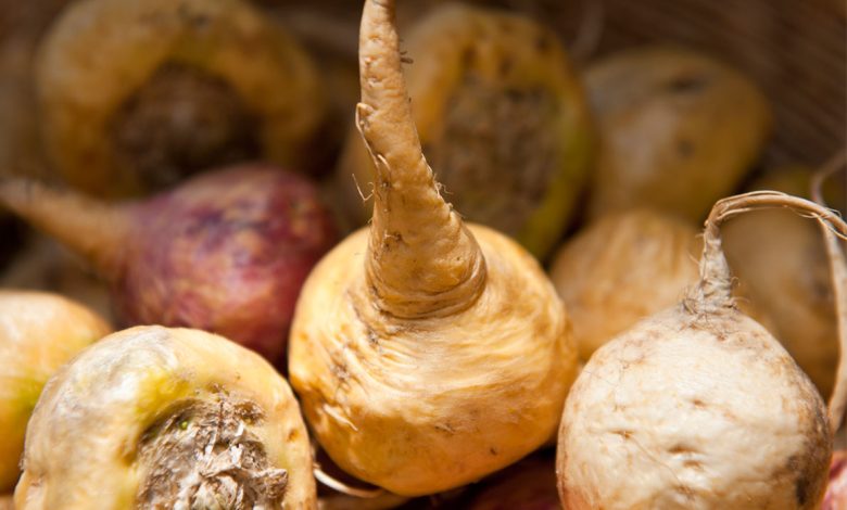 What Makes Maca Root a Good Diet Choice For Men