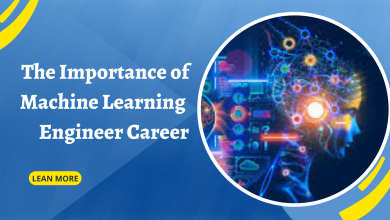 Machine Learning Engineer Career